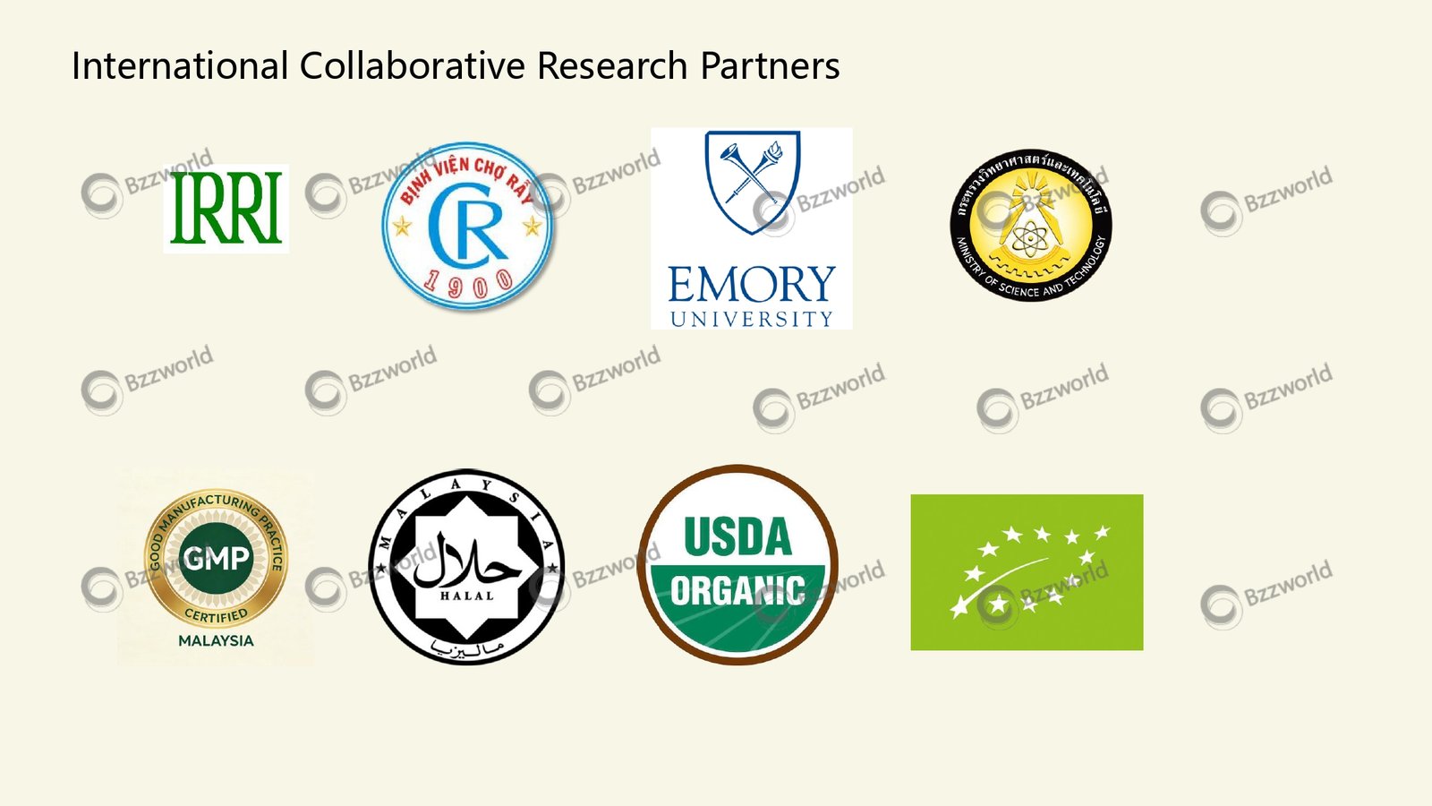 International Collaborative Research Partners